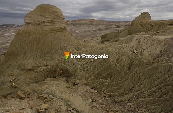 Bosque de piedra - Sarmiento