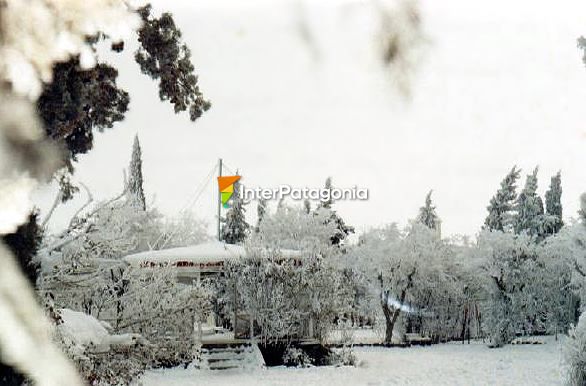 Plaza San Martn en invierno - Sarmiento