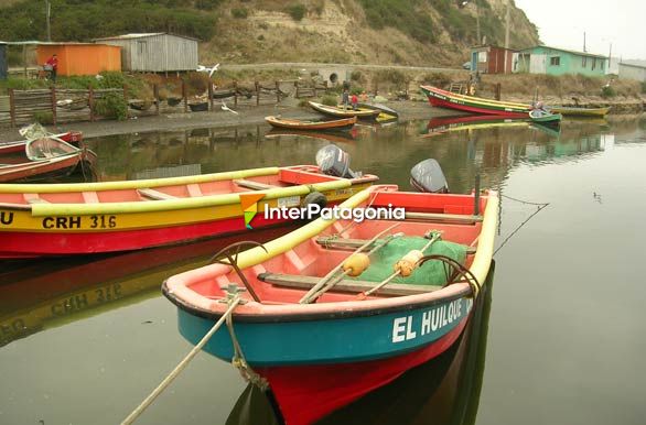 Puerto Saavedra - Temuco