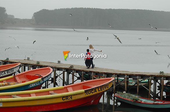 Muelle Puerto Saavedra - Temuco