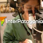 Patagonia prehistórica