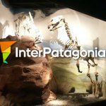Museo Paleontológico