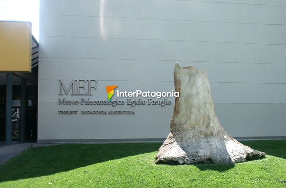Frente del museo Paleontológico