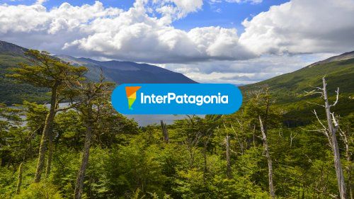 Imponente vista