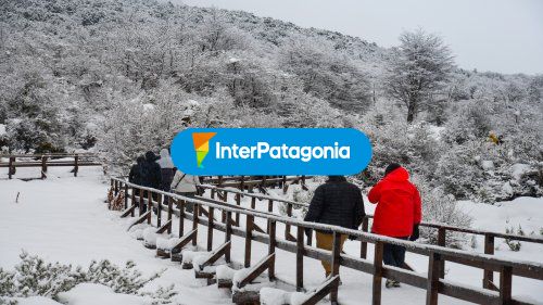 Camino nevado