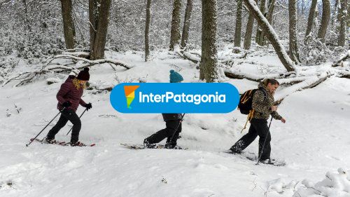 En raquetas por el bosque
