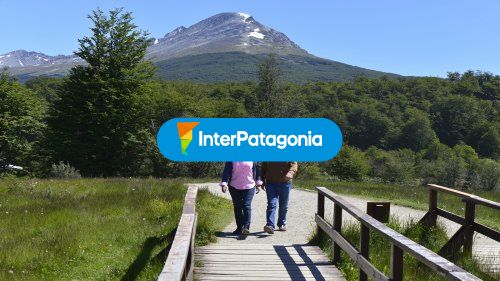 Comenzando la caminata