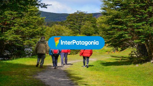 Caminatas por el bosque
