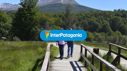 Comenzando la caminata