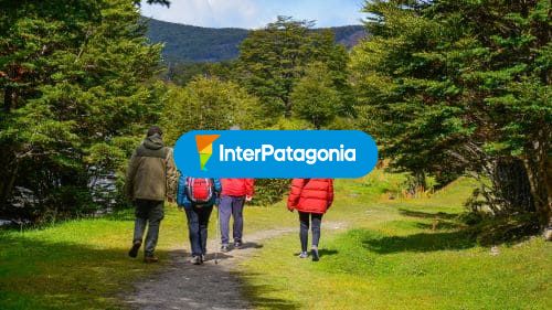 Caminatas por el bosque