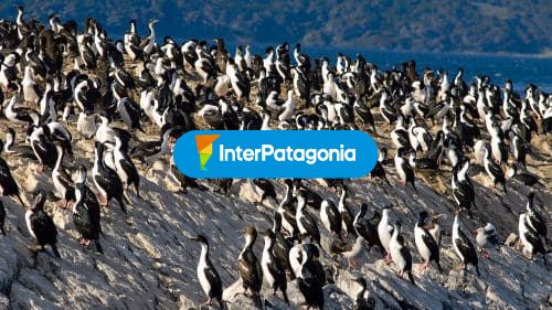 Sobre piedras