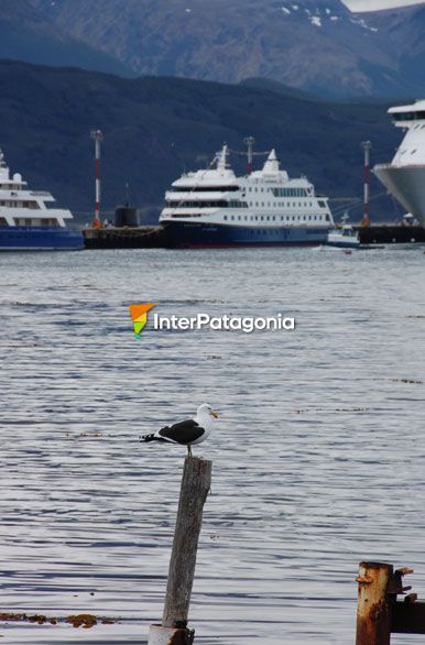 Costanera - Ushuaia