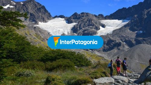 Trekking por el bosque