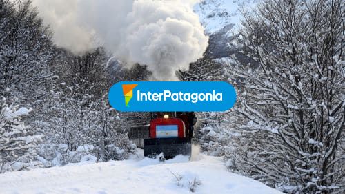 En el bosque nevado