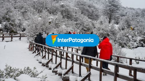 Camino nevado
