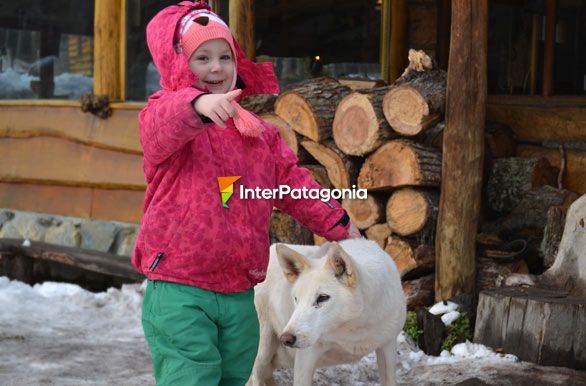 Vacaciones de invierno en ushuaia - Ushuaia