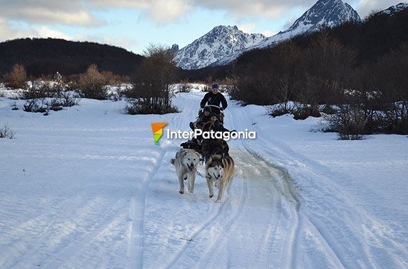 Paseos en trineos - Ushuaia