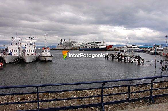 Puerto de Ushuaia - Ushuaia