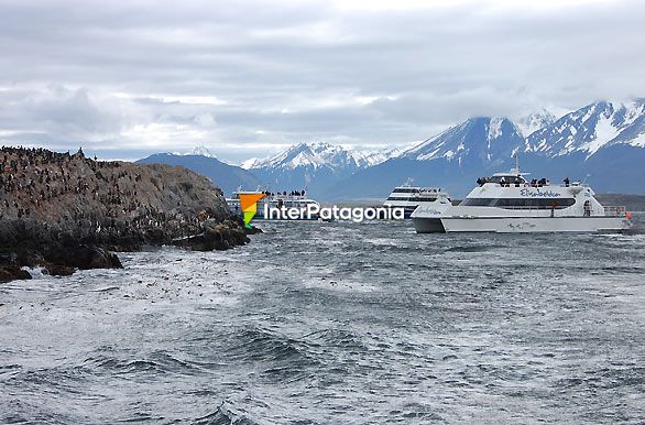 Navigation in the Beagle Channel