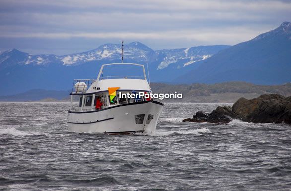 Paseos en el Beagle - Ushuaia