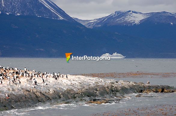 Canal de Beagle - Ushuaia