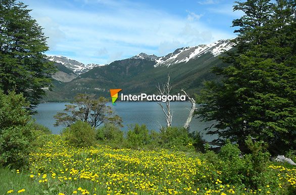 Lago Escondido - Ushuaia