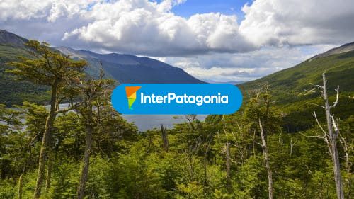 Imponente vista