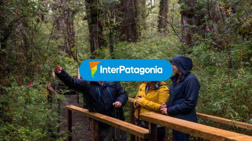 Visita guiada
