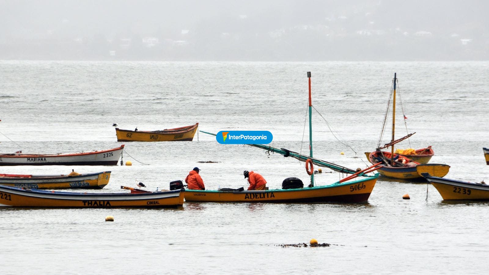 Adelita - Valdivia
