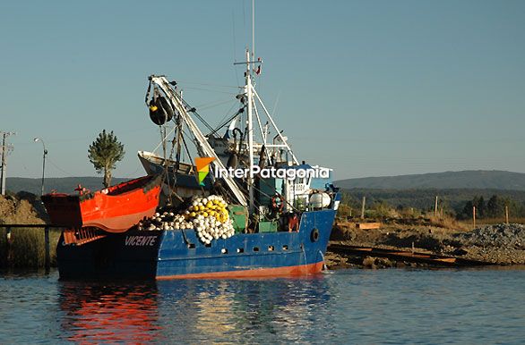 Barcos pesqueros - Valdivia