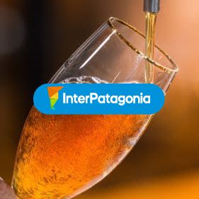 Cerveza local