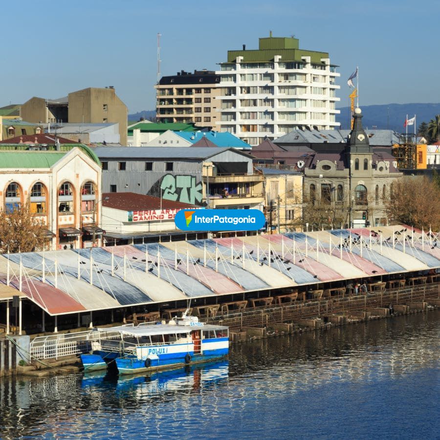 Postal del mercado - Valdivia