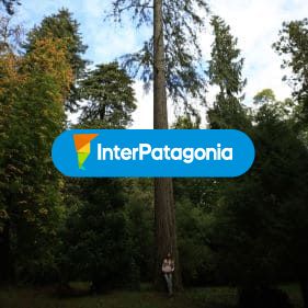 Colores de Otoño