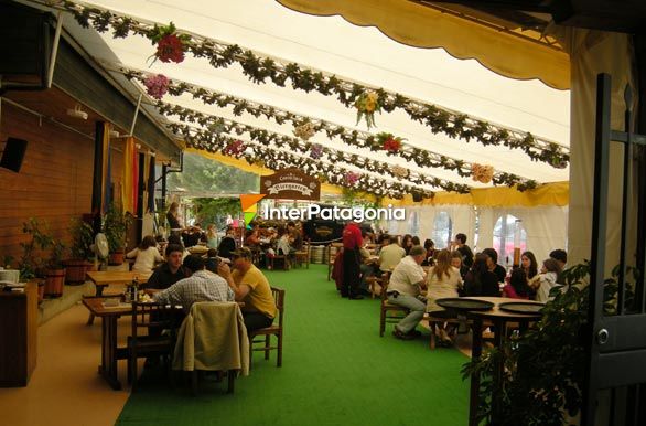 Tradicional cervecera - Valdivia