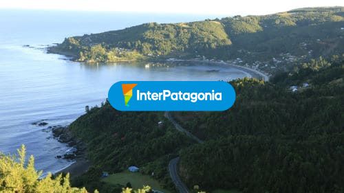 Panoramica de niebla