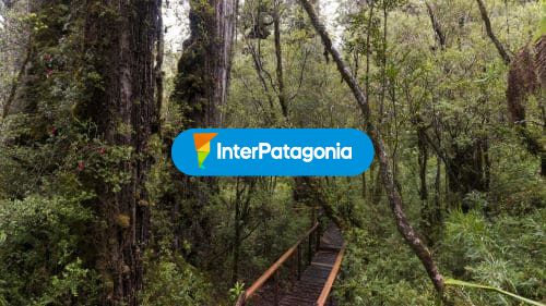 Observación de flora y fauna