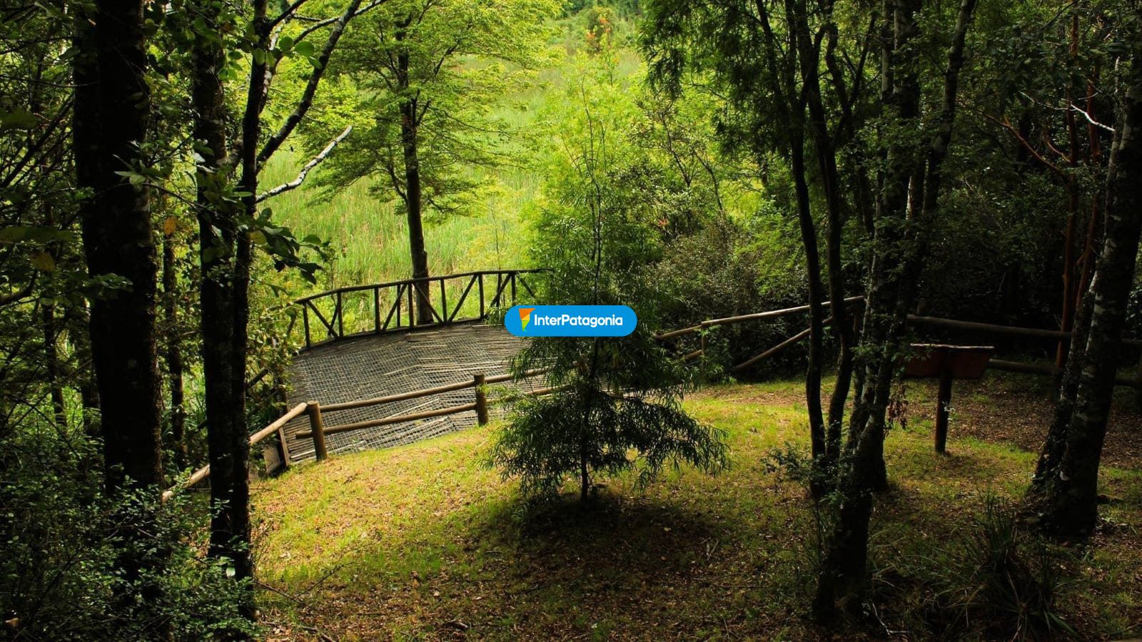 Parque urbano 