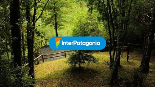 Parque urbano "El Bosque"