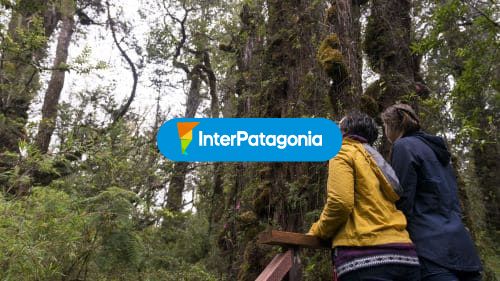 Pasarela en parque nacional