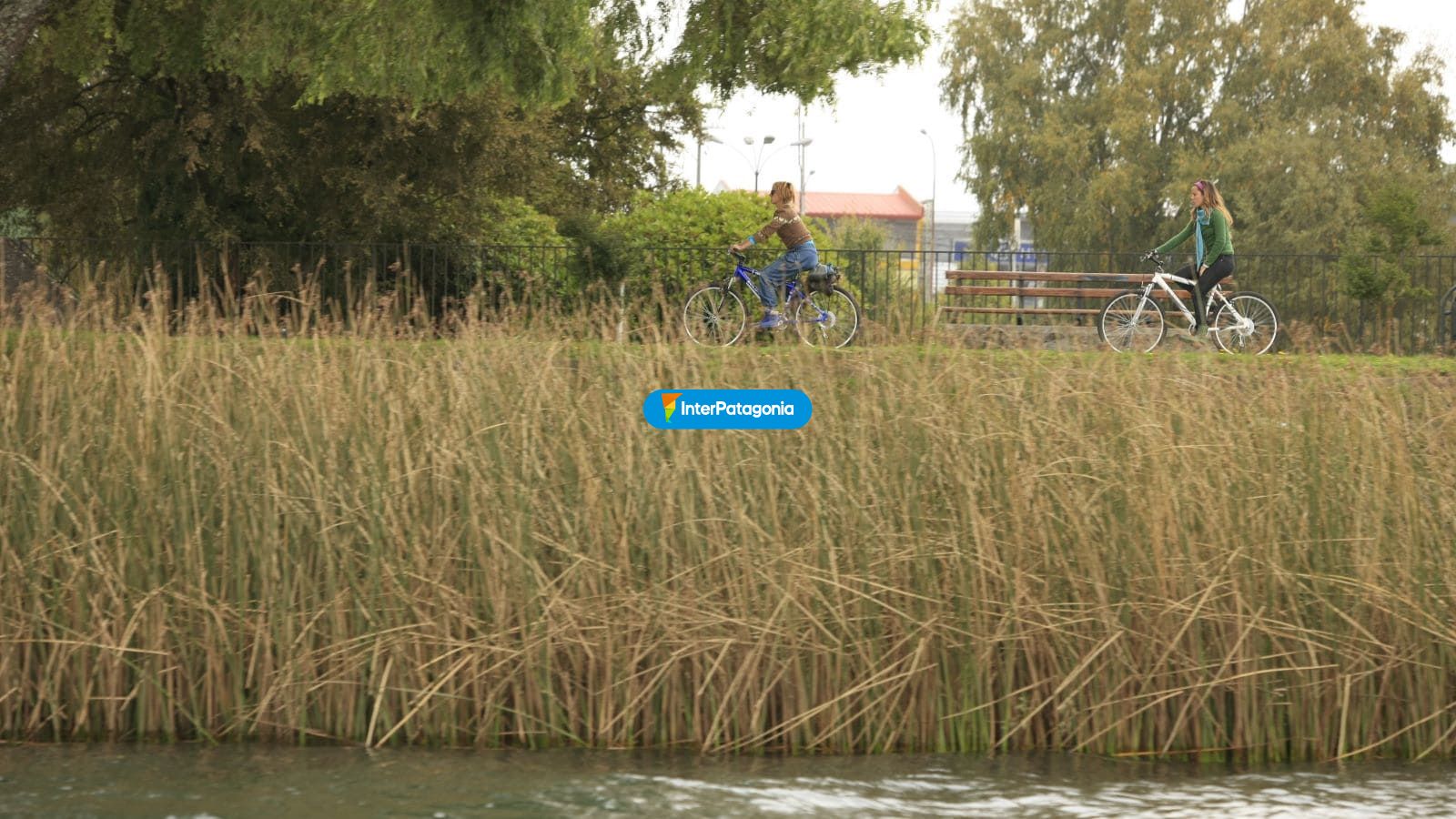 D�a de paseo - Valdivia
