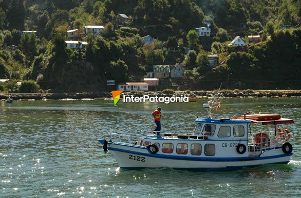 Barcos para paseos - Valdivia