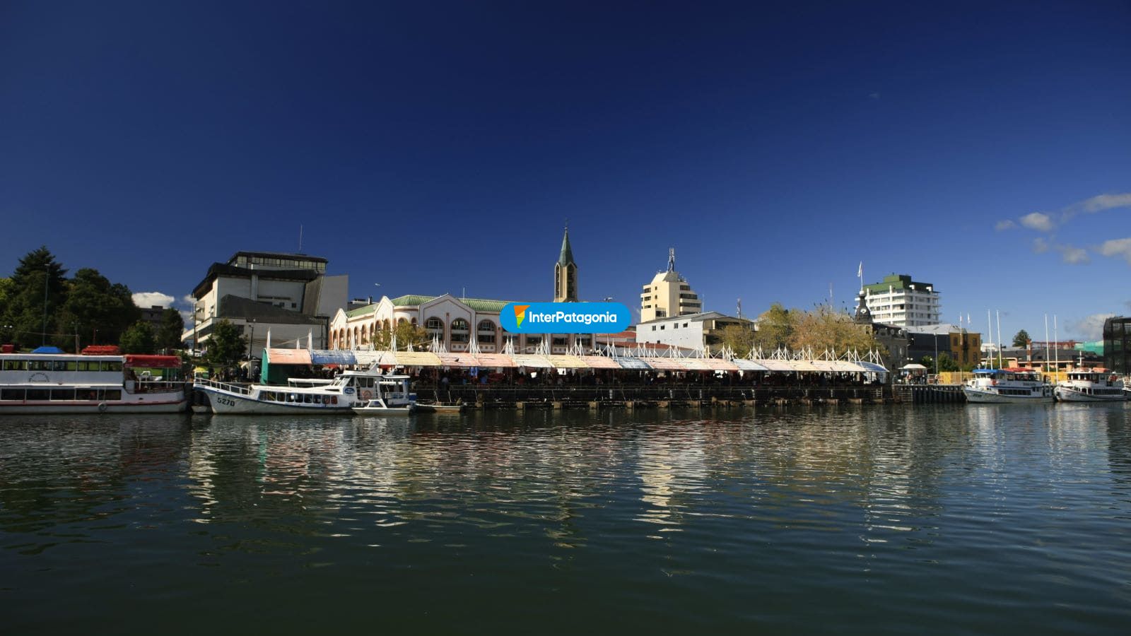 R�o Calle-Calle - Valdivia