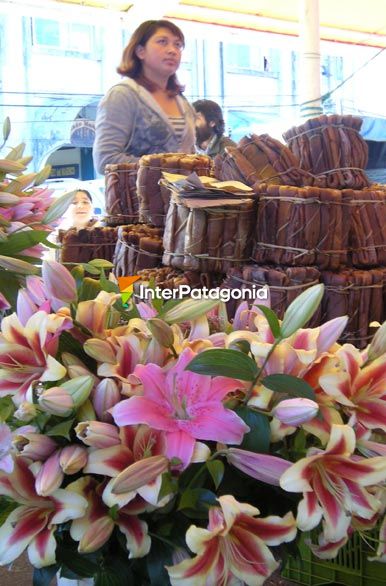 Flores en el mercado fluvial - Valdivia