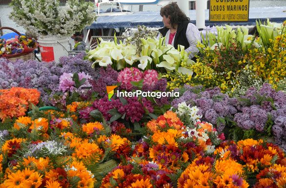 Flores en el mercado del puerto