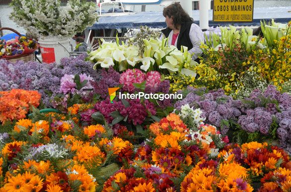 Flores en el mercado del puerto - Valdivia