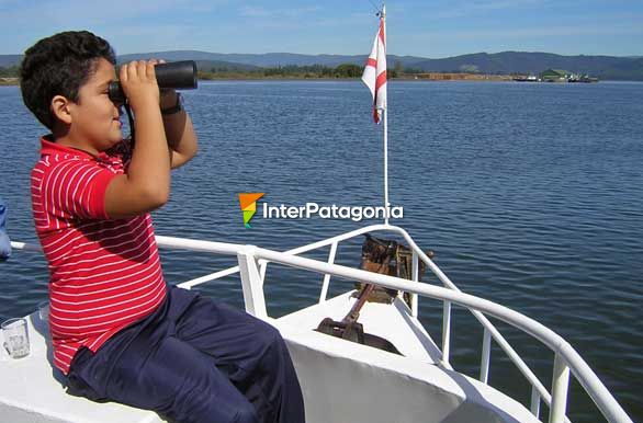 Observando las costas - Valdivia