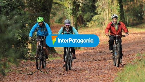 Paseo en bicicleta