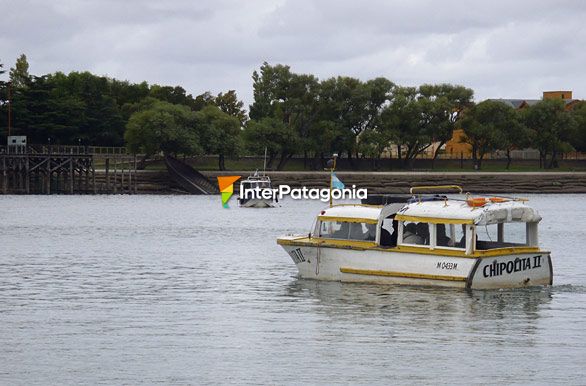 Barquitos en el ro - Viedma / Carmen de Patagones