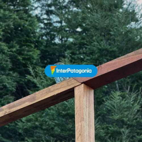 Maravillosa vista de un Chuncho