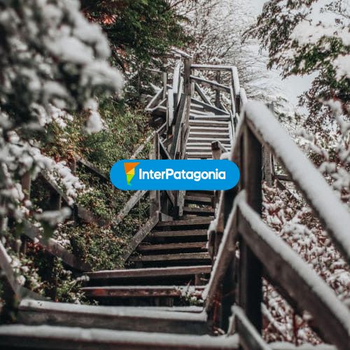 Pasarela en invierno